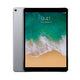 iPad Pro 10.5" (2017) | WiFi